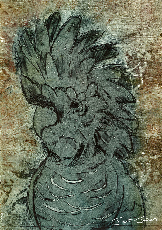 Muted Red Tail Black Cockatoo Fine Art Print