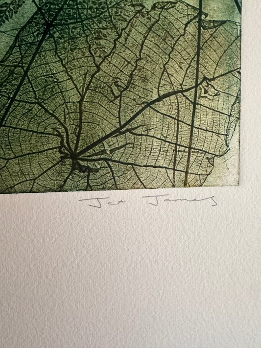 'Dragonfly Dreaming' Original Etching