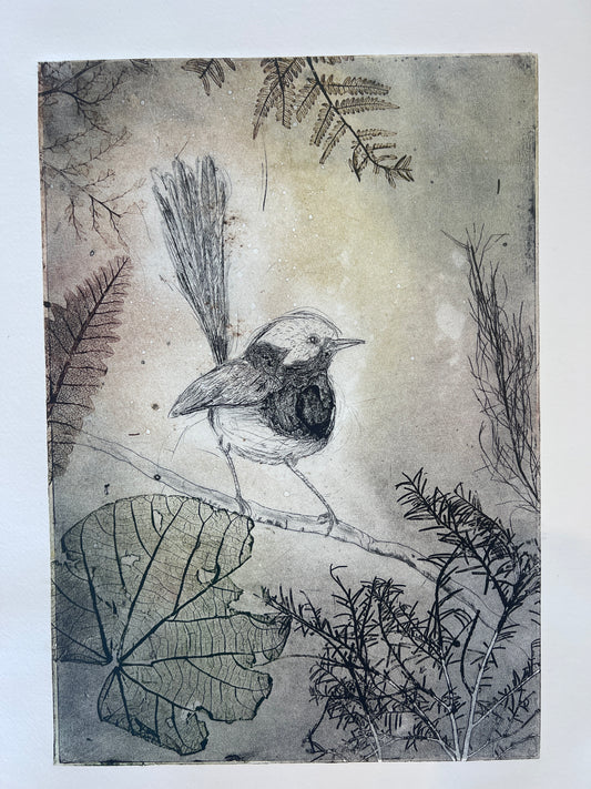 ‘Wren' Original Etching