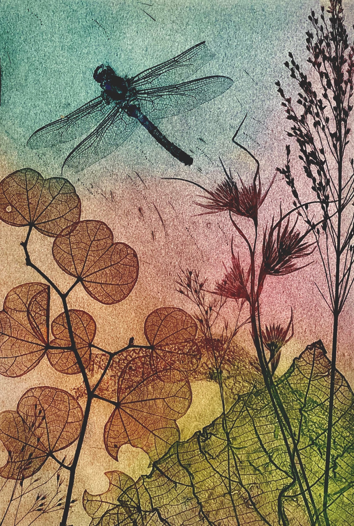 Water Dragonfly 2 Fine Art Print