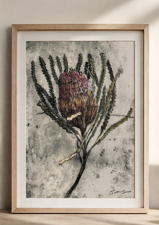 Banksia Art Print