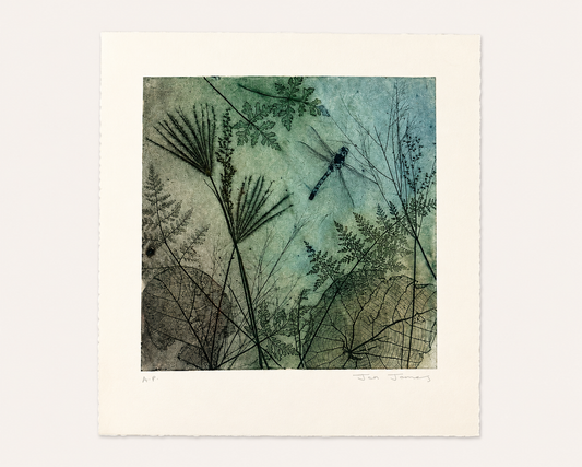 'Dragonfly Dreaming' Original Etching