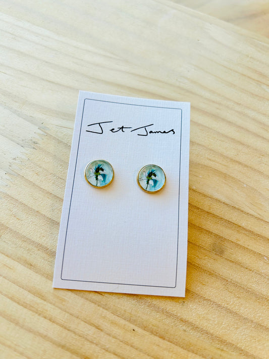 Stud Earrings - Native Bee