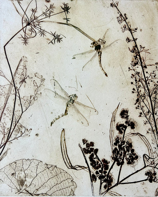 'Dual Dragonfly - Warm" Original Artwork