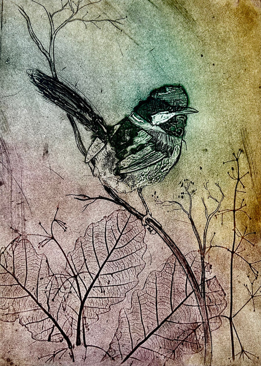 'Fairy Wren' Original Etching