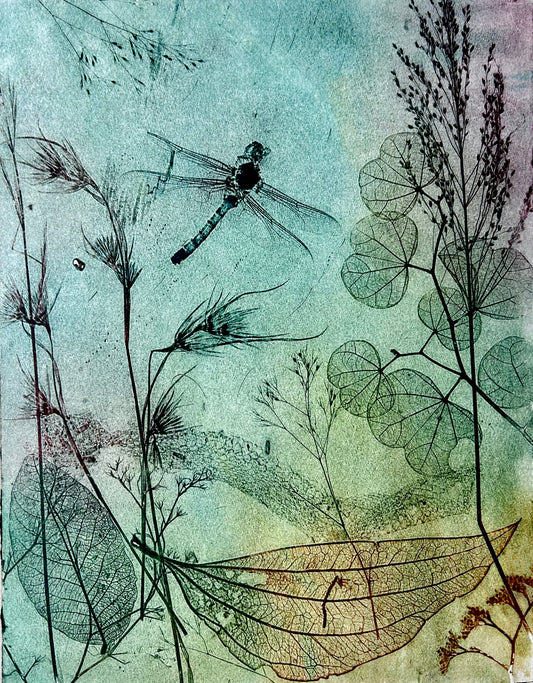 'Dragonfly 2023' Original Etching
