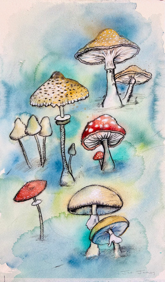 Bright Mushroom Original Artwork