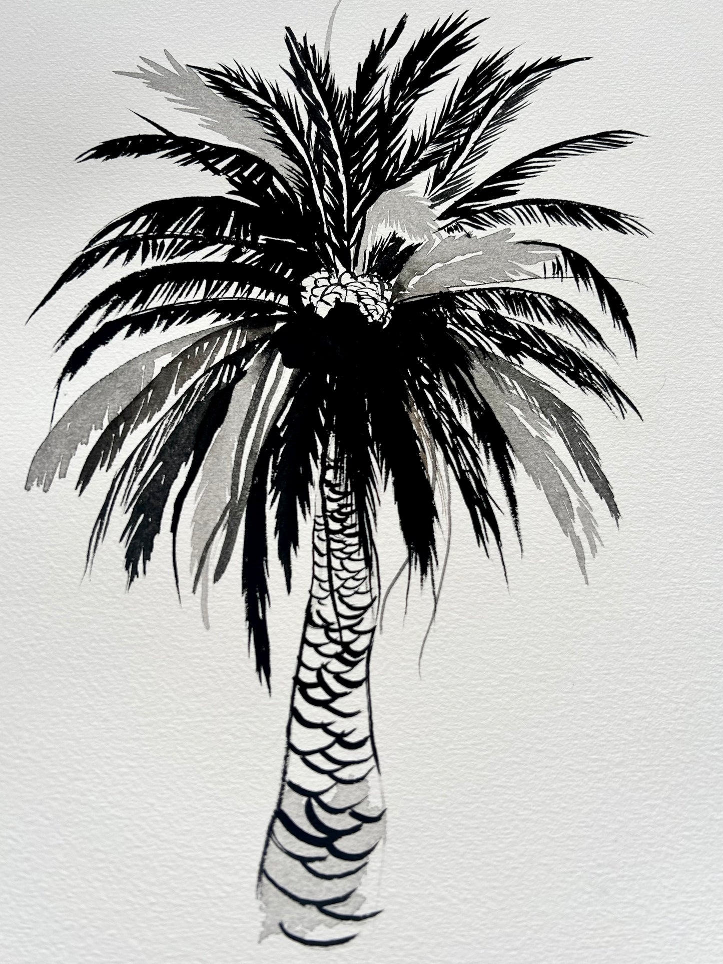 Original Black and White Palm Drawing #1