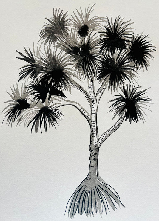 Original Black and White Pandanus Palm
