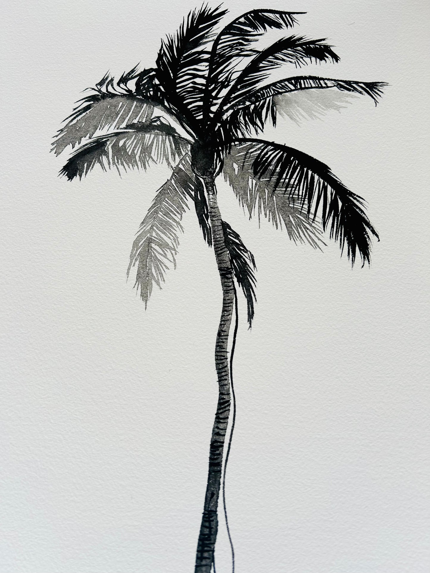 Original Black and White Palm Drawing #4