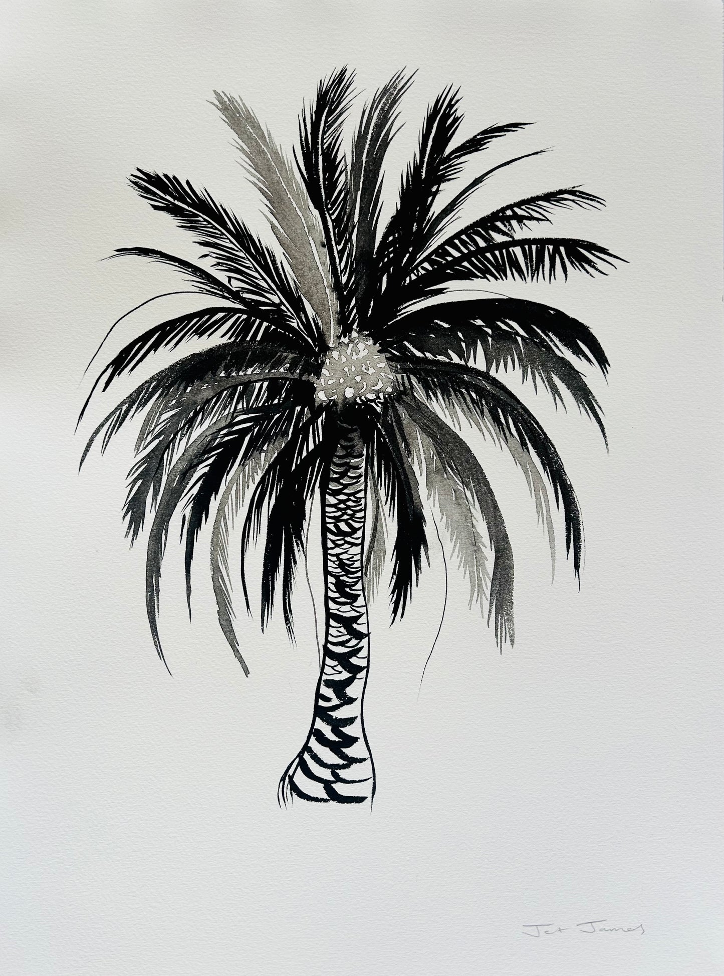 Original Black and White Palm Drawing #6