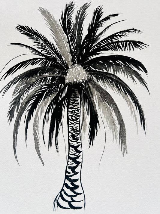 Original Black and White Palm Drawing #6