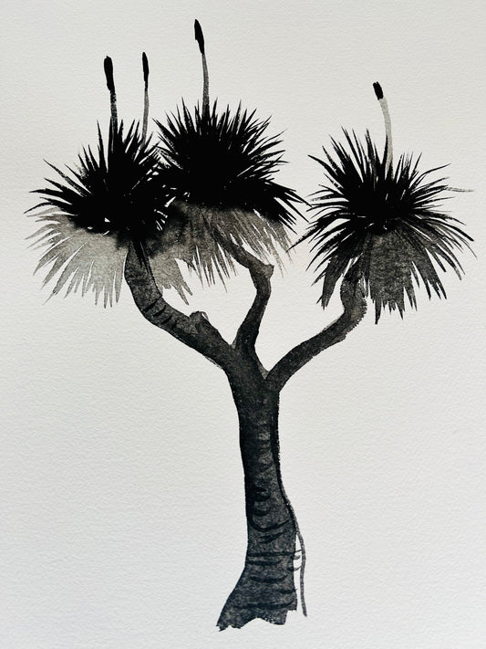 Original Black and White Grass Tree