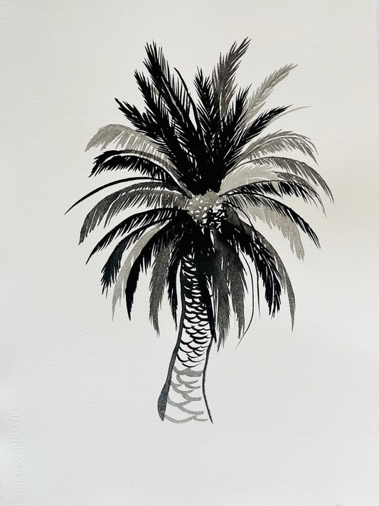 Original Black and White Palm Drawing #8
