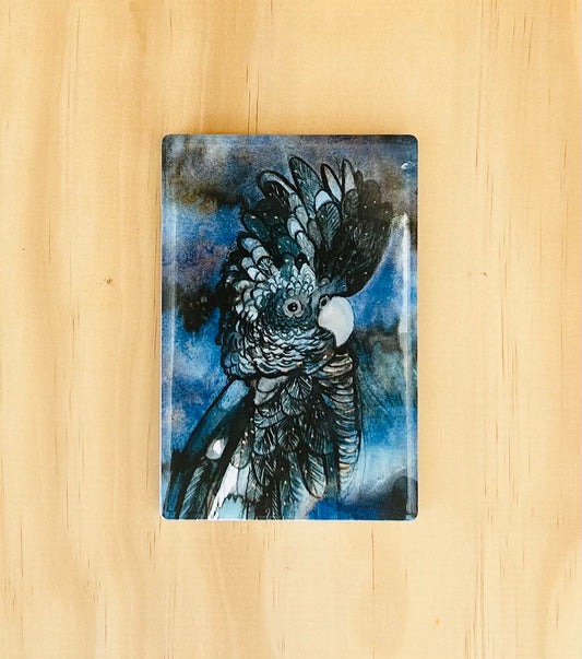 Magnet - Black Cockatoo