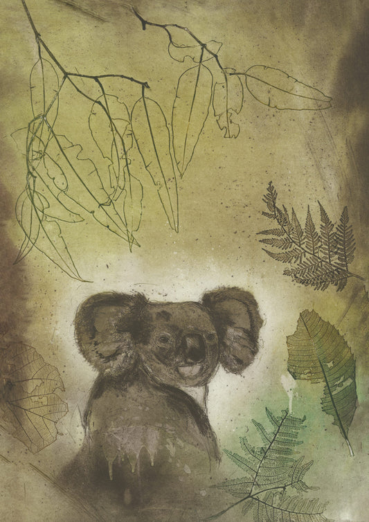 'Koala in Golden Glow' Fine Art Print