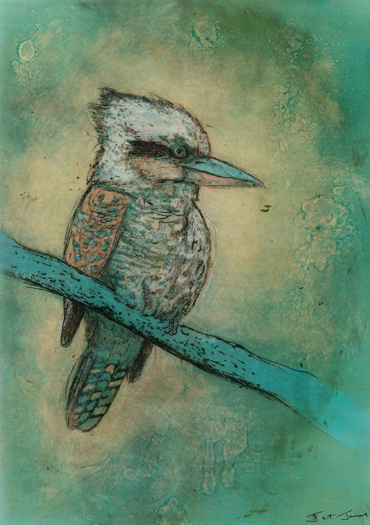 'Kookaburra in Blue' Fine Art Print