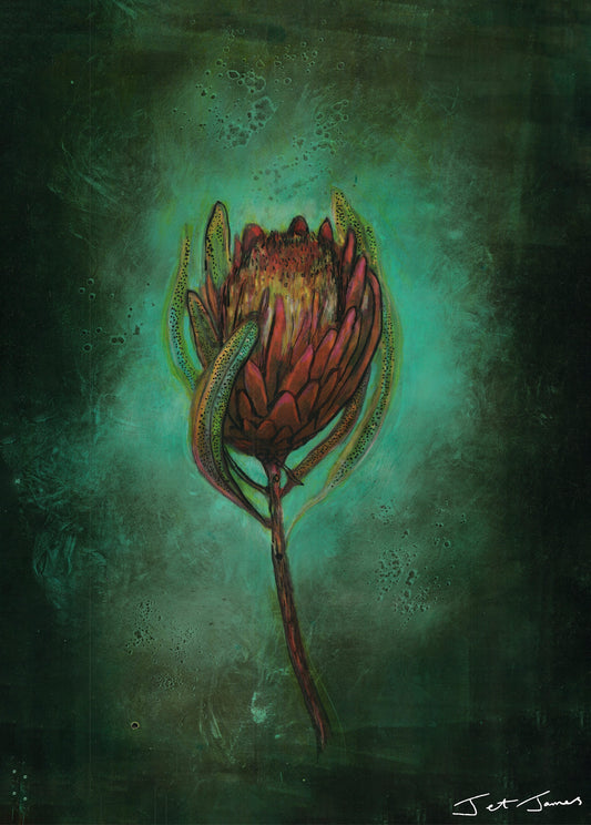 'Protea Flower' Fine Art Print