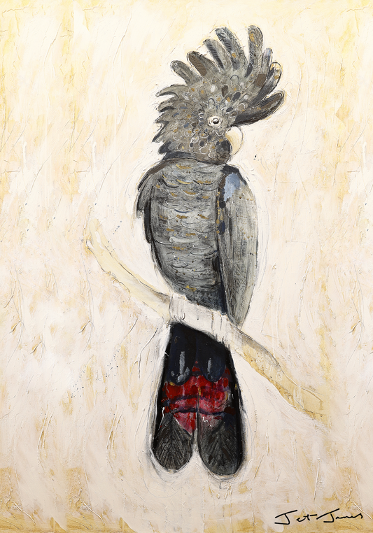 Stolen Cockatoo Fine Art Print