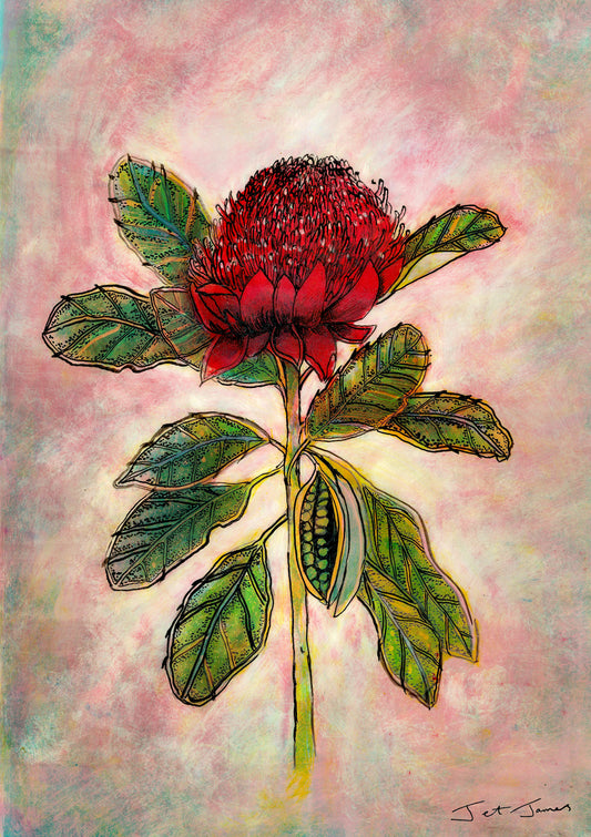 Waratah Art Print