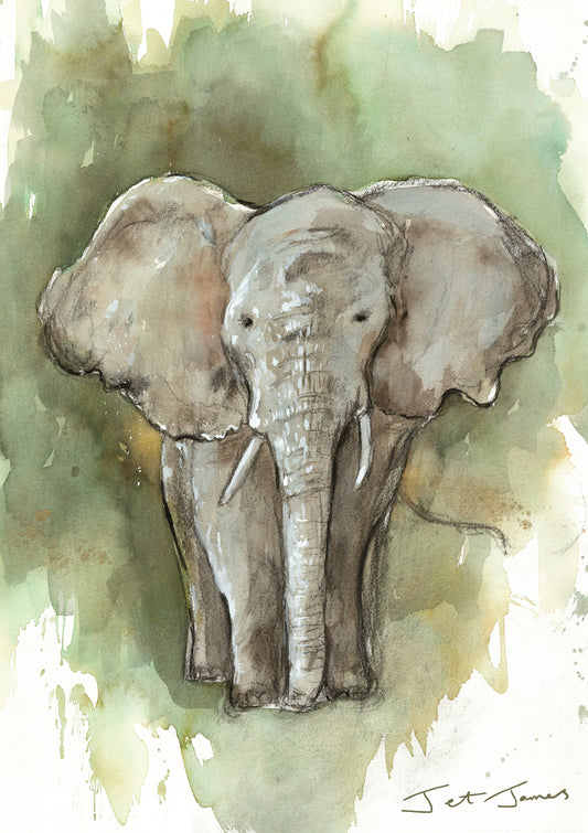 Elephant Fine Art Print