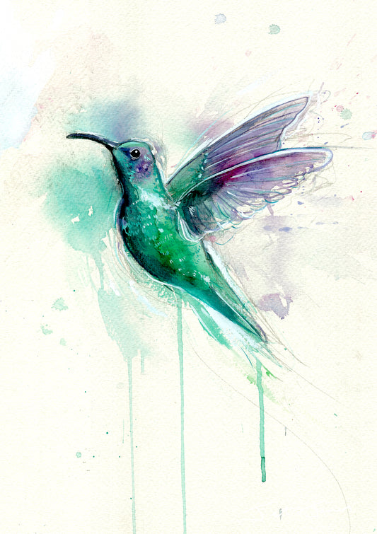 'Humming Bird' Fine Art Print