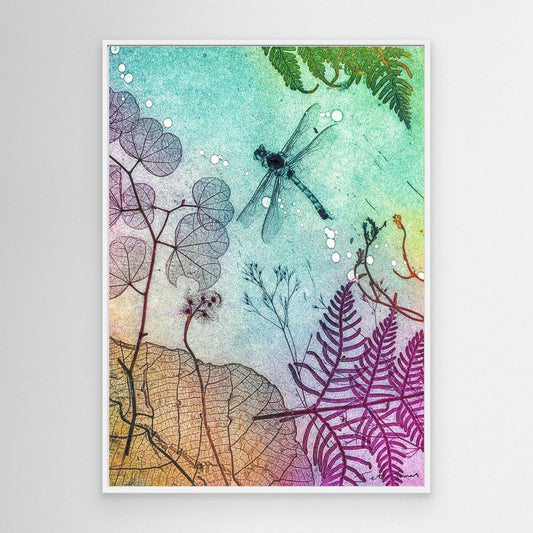 Ocean Dragonfly
