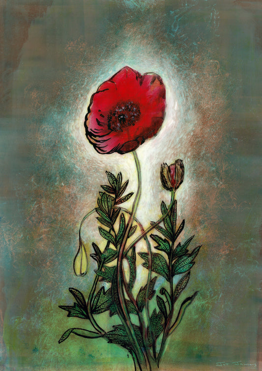 Poppy Art Print