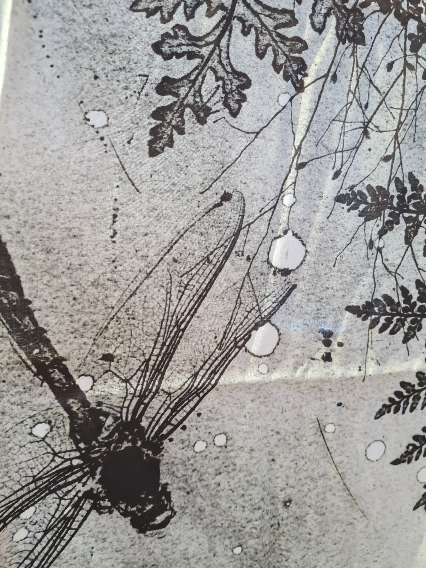 Black and White Dragonfly Scarf