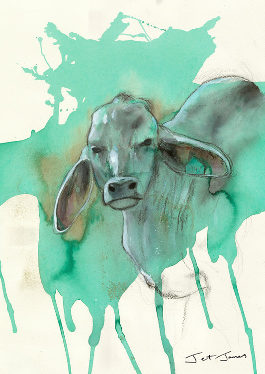 'Take No Bull' Fine Art Print