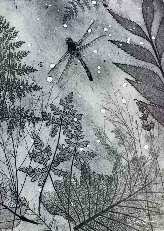 Black and White Dragonfly Fine Art Print