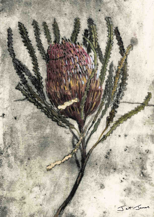 Banksia Art Print