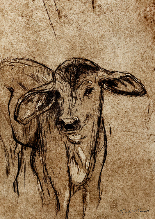 'Brown Calf' Fine Art Print