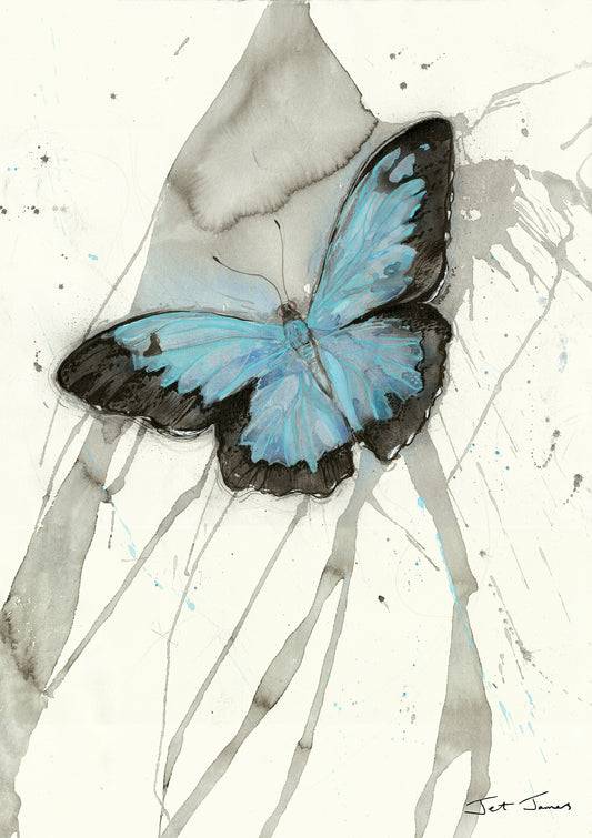 Butterfly Fine Art Print