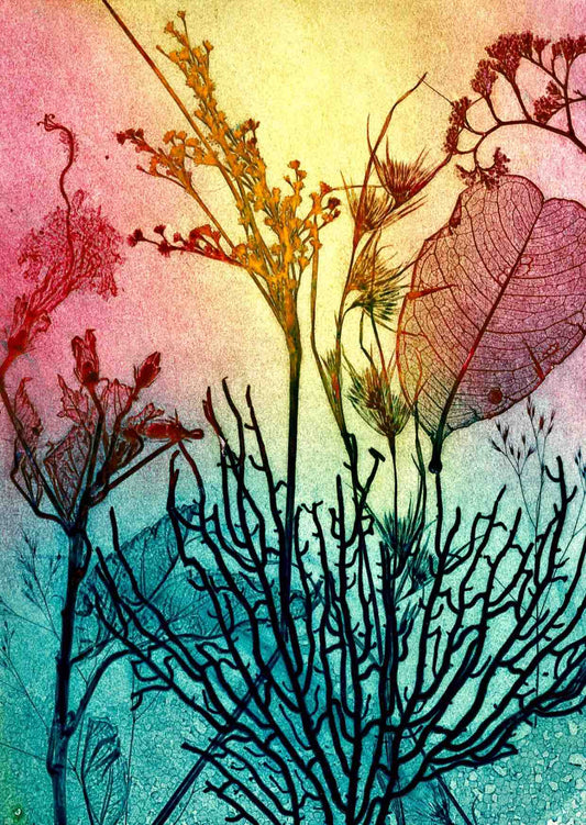 Coral Fine Art Print