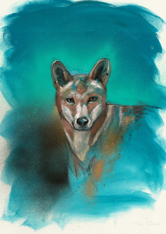 'Dingo' Fine Art Print