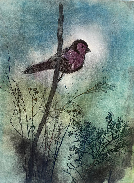 "Finch 1" Original Collagraph Artwork