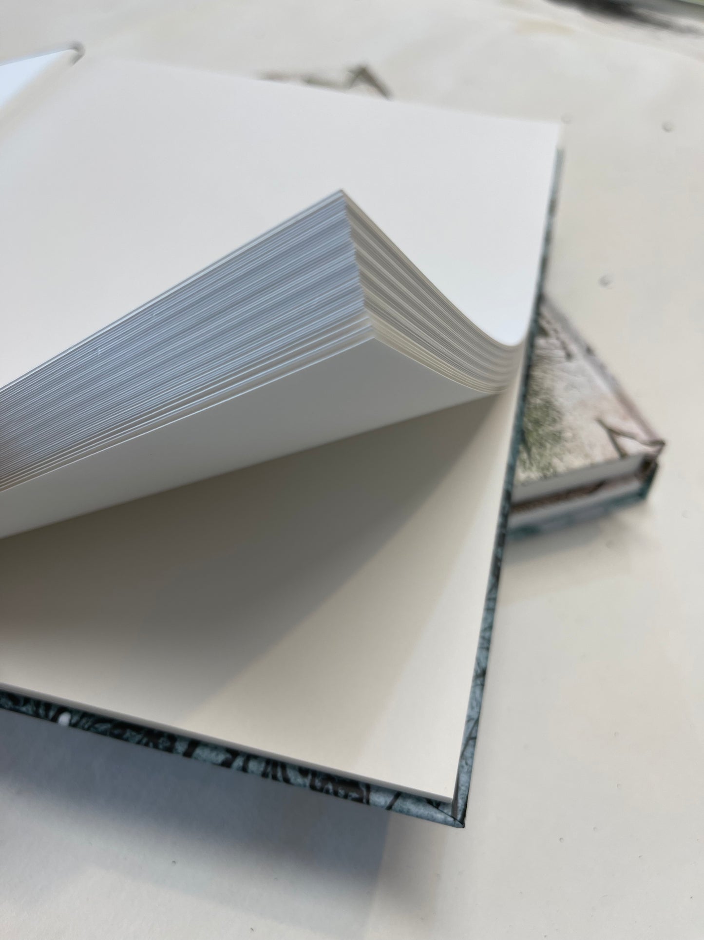 Artist Sketchbook - Dark Dragonfly