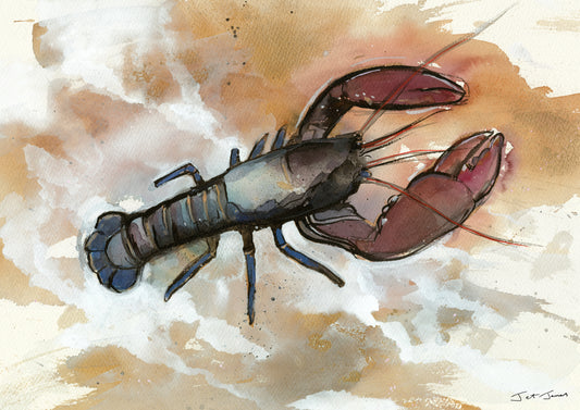 'Lobster' Fine Art Print