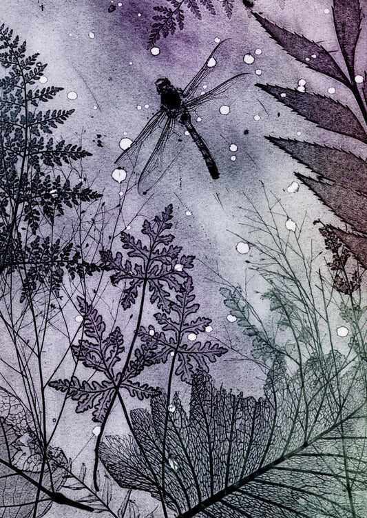 Dark Dragonfly Fine Art Print