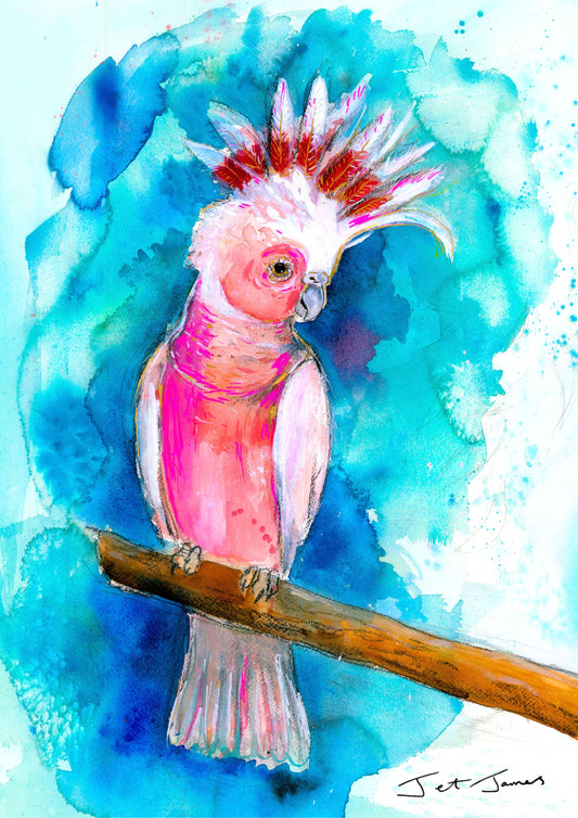 Major Mitchell Art Print