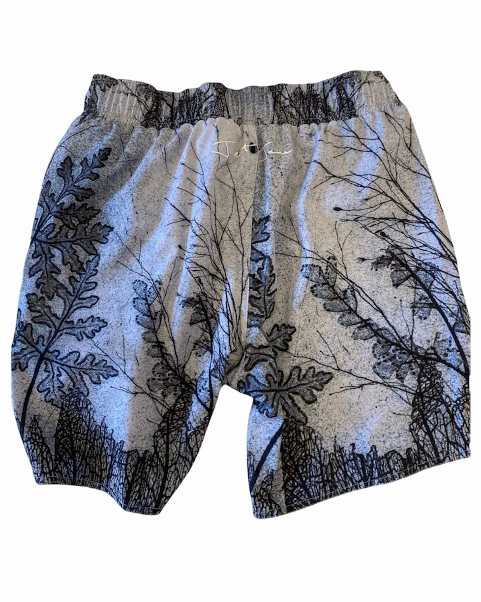Dragonfly Board Shorts