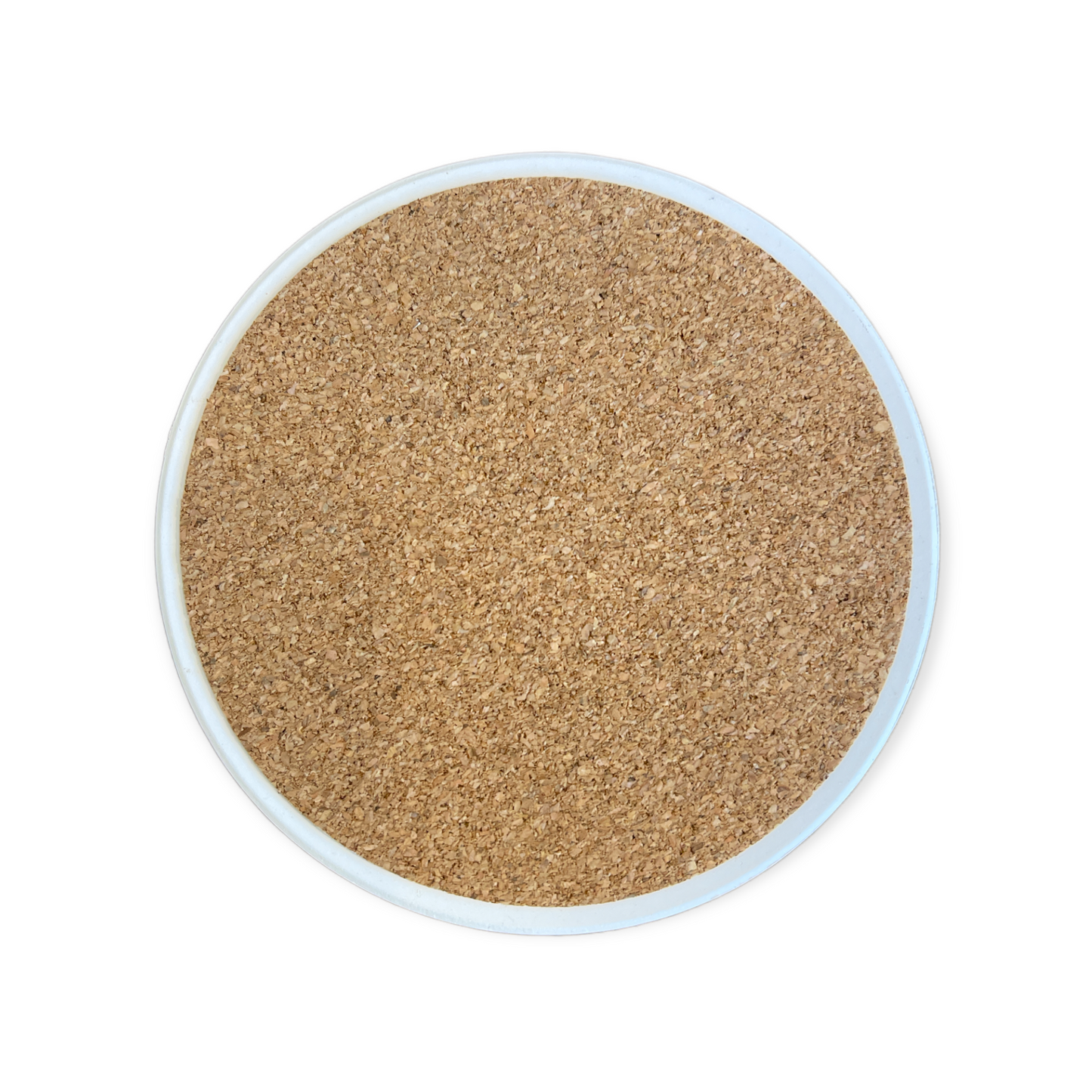 Echidna Ceramic Coaster