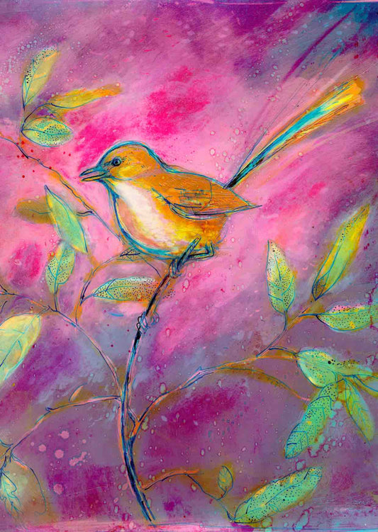 Pink Wren Fine Art Print