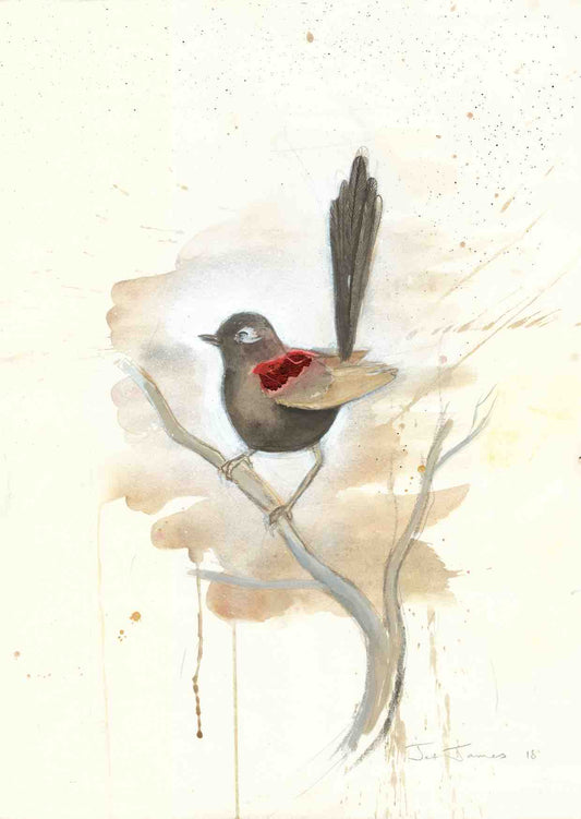 “Red Back, Tail High” Fine Art Print