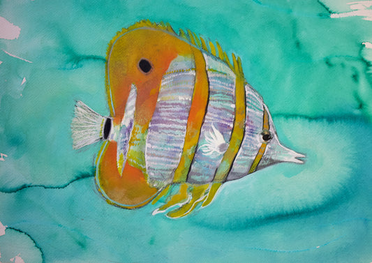 'Reef Fish' Original Artwork