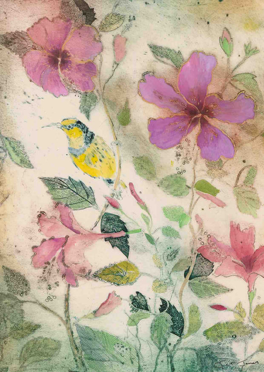 Sunbird and Hibiscus Fine Art Print