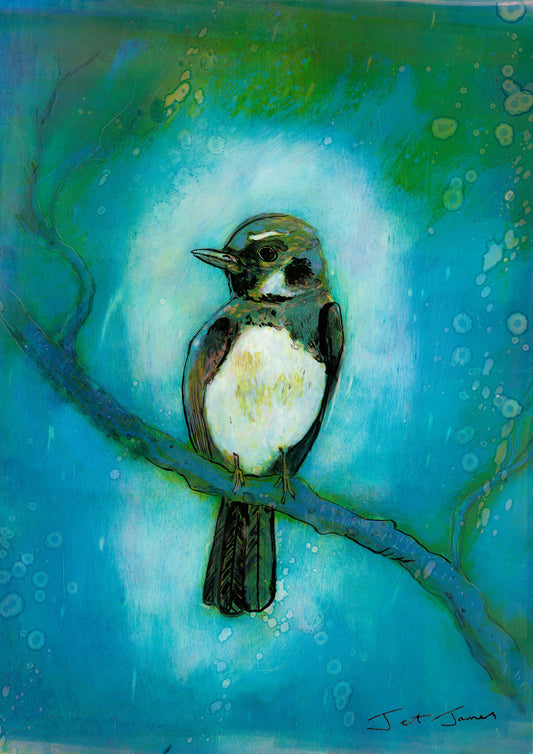 'Willy Wagtail' Fine Art Print