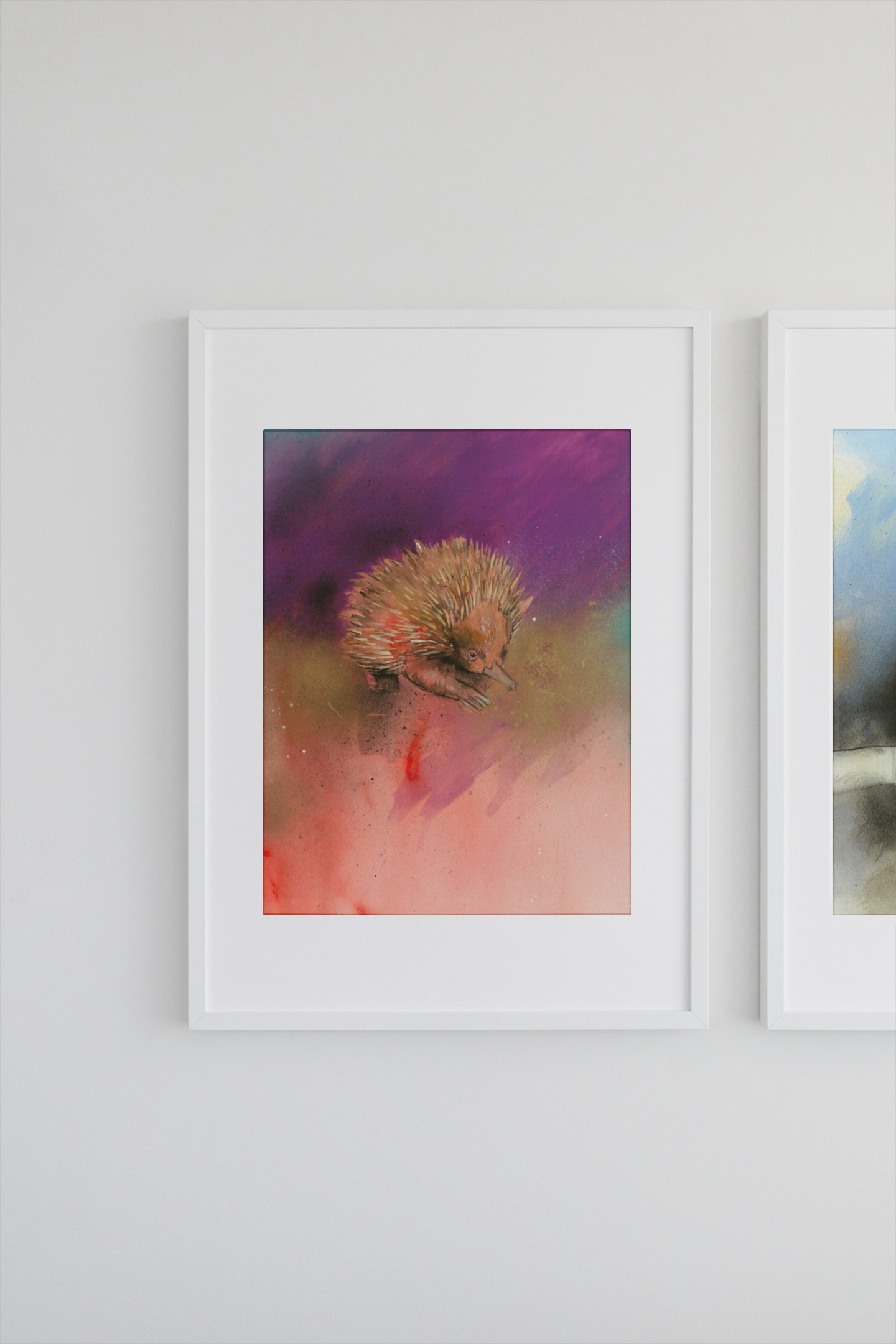 'Echidna' Fine Art Print