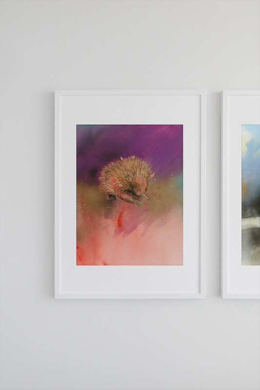 'Echidna' Fine Art Print